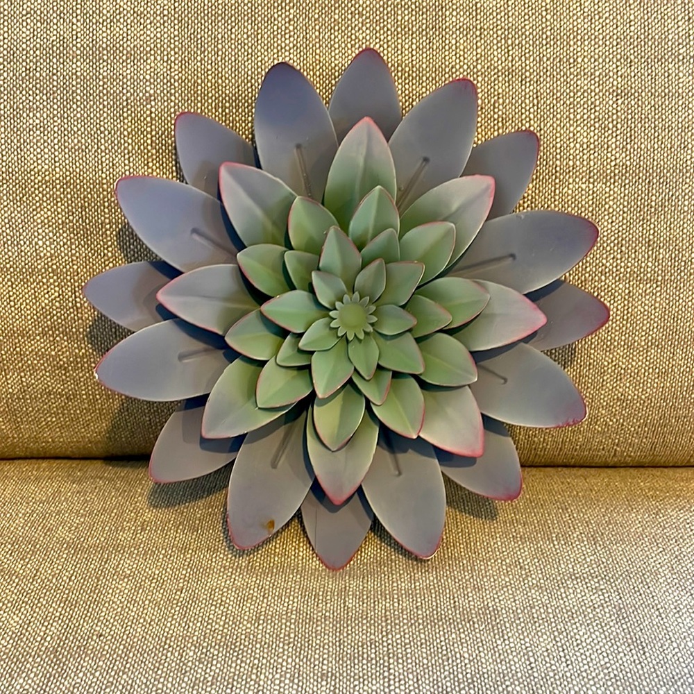 Succulent Wall Decor